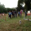foire-haricots 2011-09-17et18